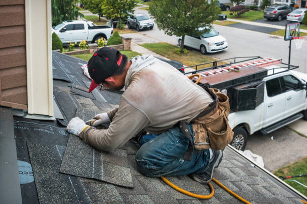Professional Metal Roofing technician working in Thomson, IL